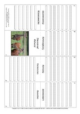 Faltbuch-Rotwild.pdf